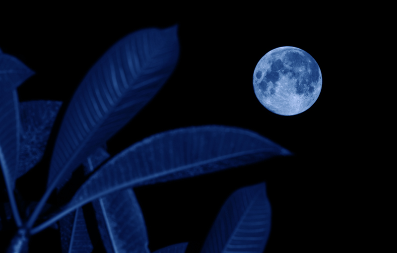 深圳中秋夜