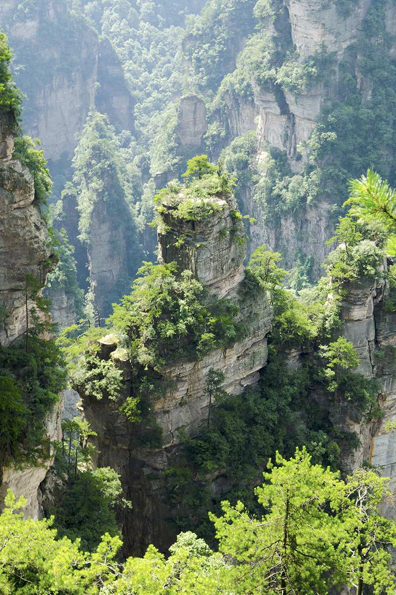 走马观山