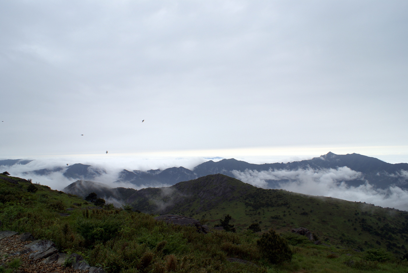 黄岗山