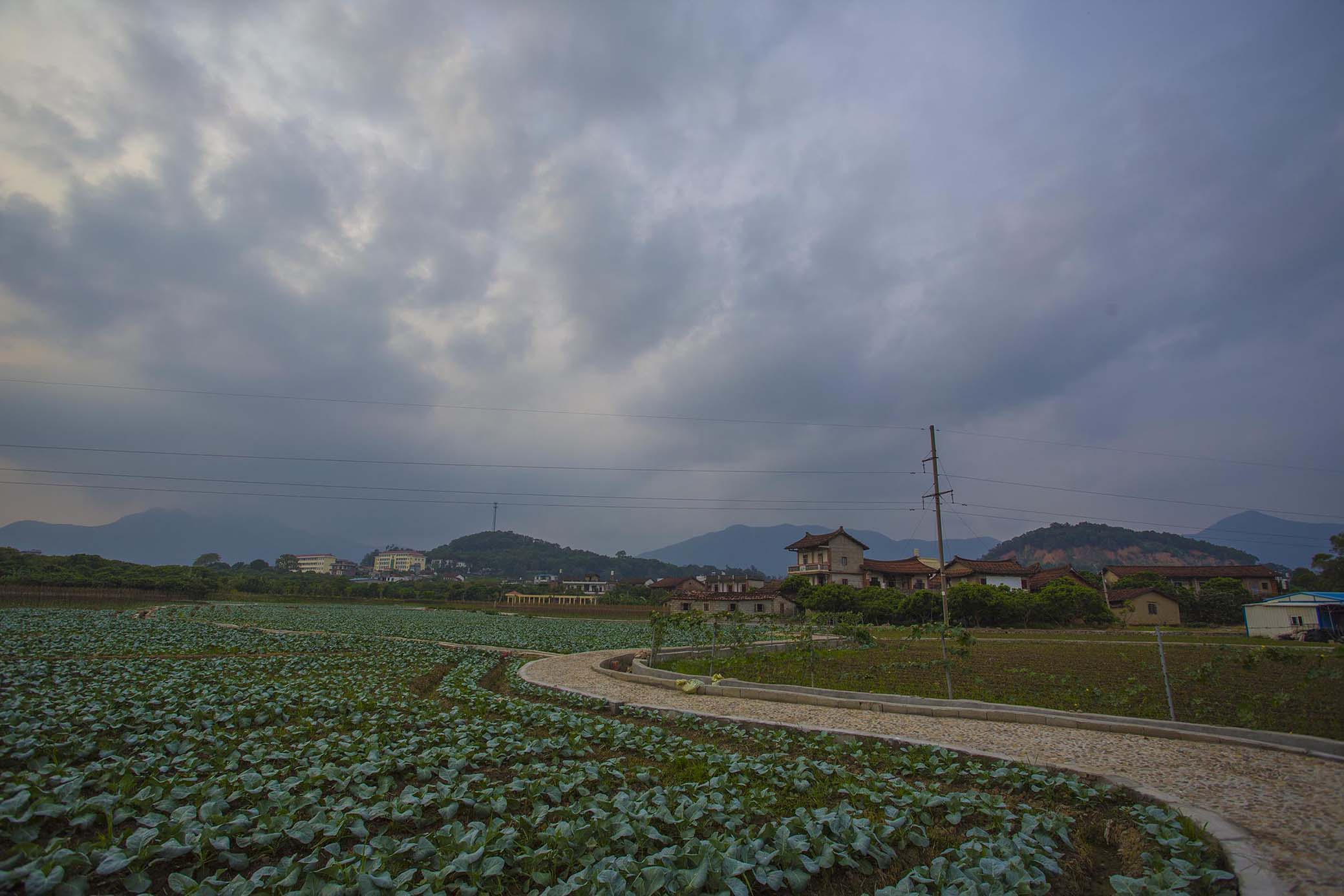 后黄村