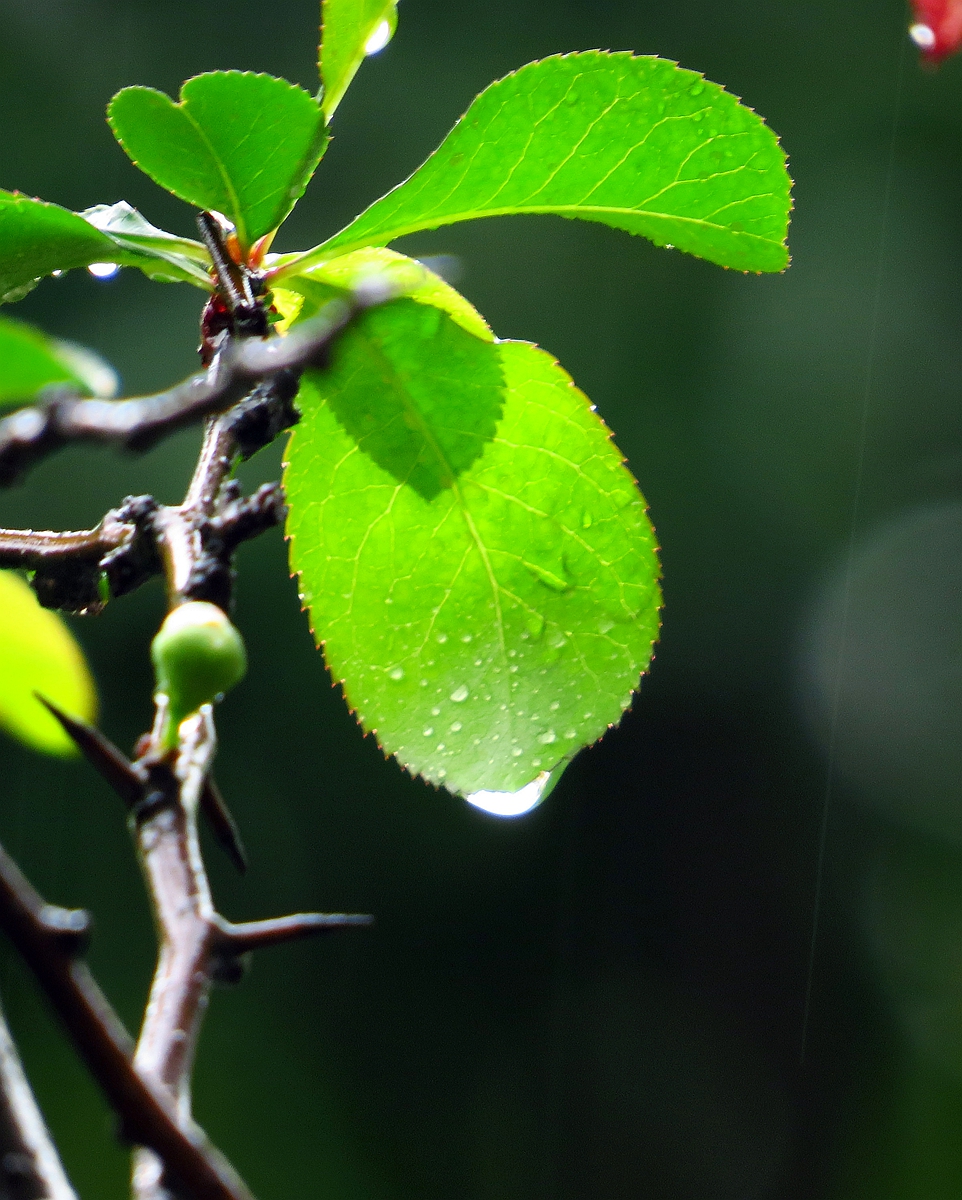 雨一直下
