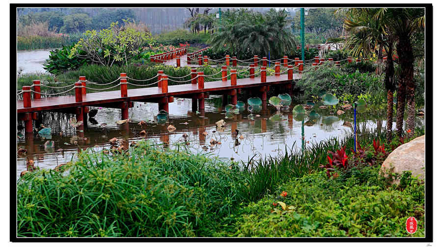 海珠湿地公园_海珠湿地公园图片