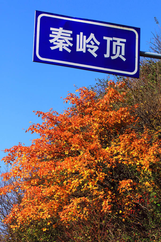 跟一学妹骑行西安秦岭分水岭,下山后累的双膝实拍雨后秦岭分水岭:看