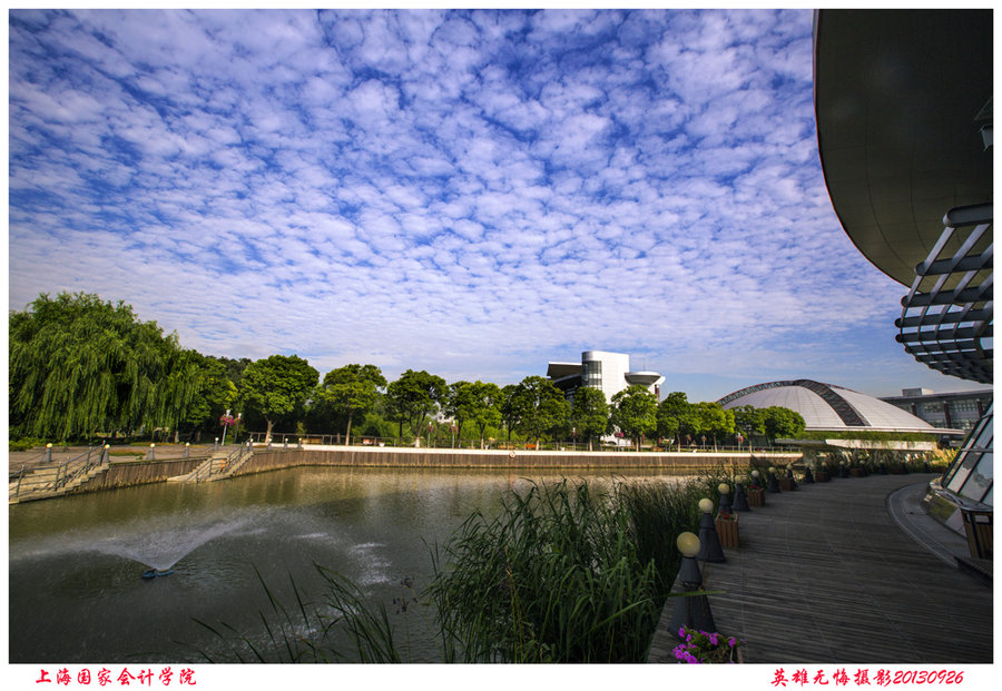 【在路上 上海国家会计学院校园景色摄影图片