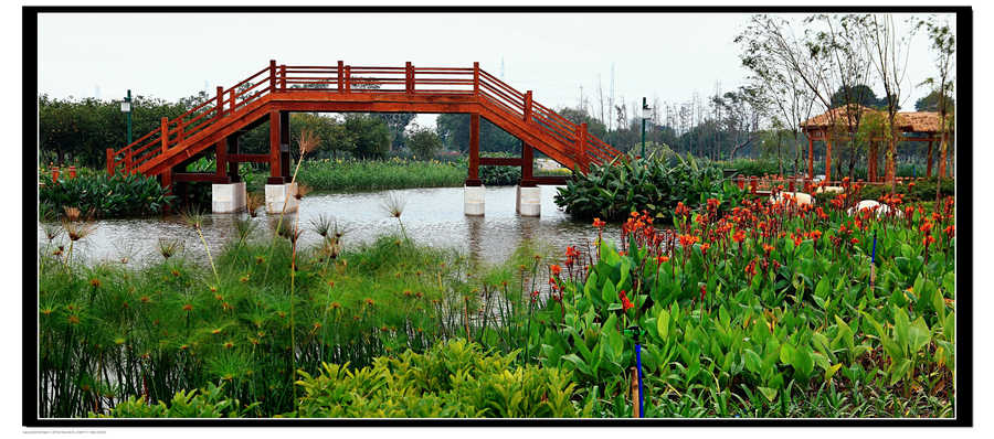 【广州海珠湿地公园摄影图片】广州国内摄影