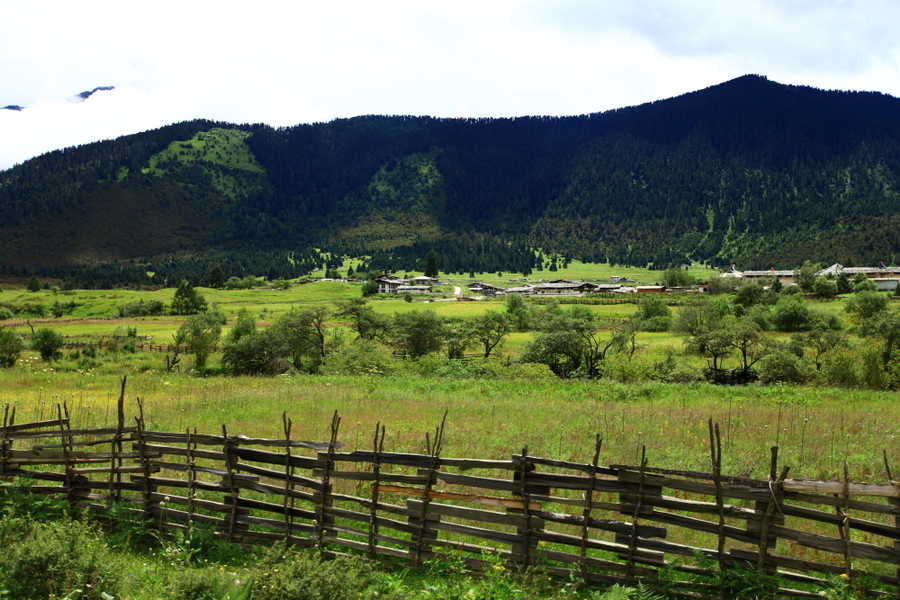 西藏行之鲁朗田园