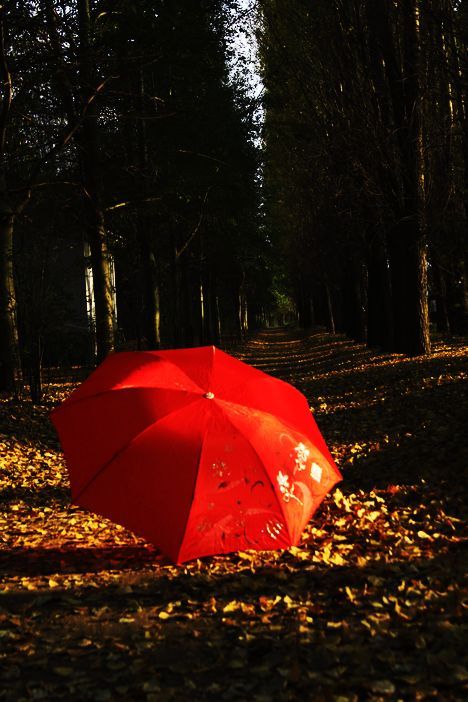 红伞的记忆