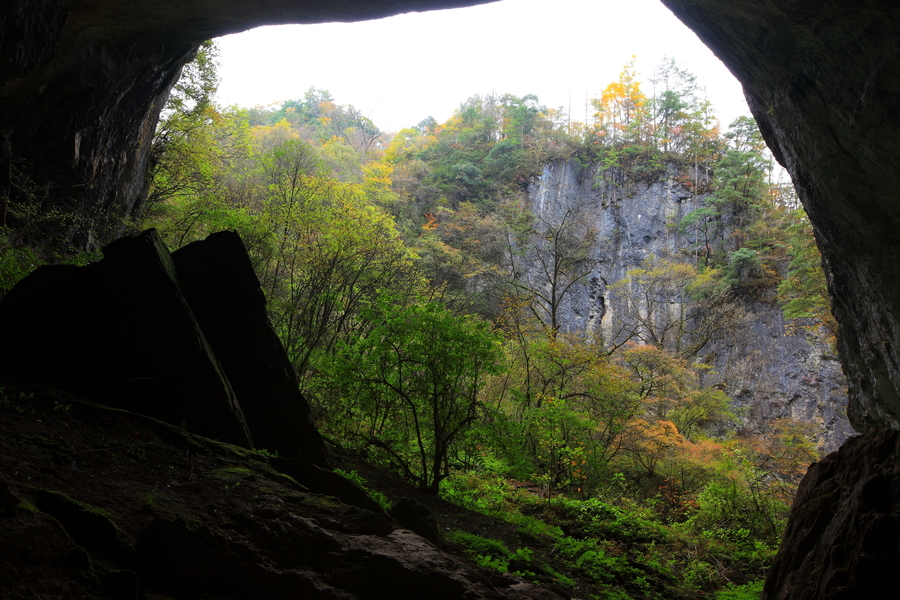 【独自穿越落水洞摄影图片】米仓山自然保护区