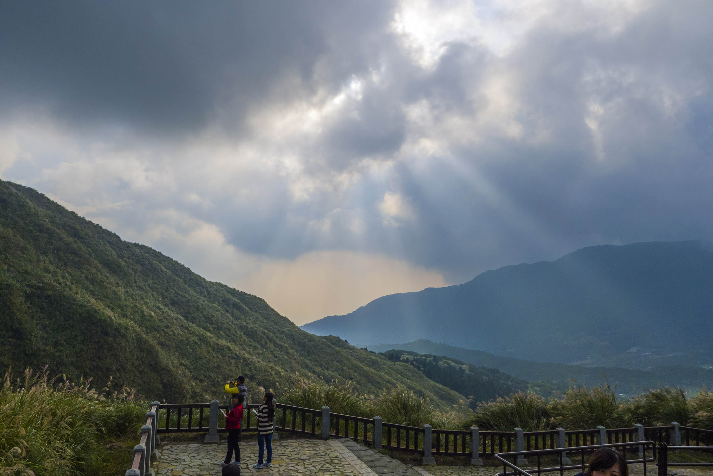 2019阳明山国家公园-旅游攻略-门票-地址-问答-游记点评，台北旅游旅游景点推荐-去哪儿攻略