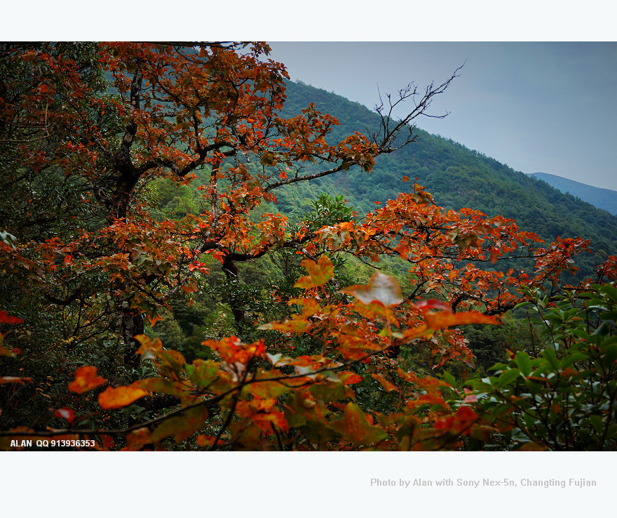 登长汀最高峰—白沙岭