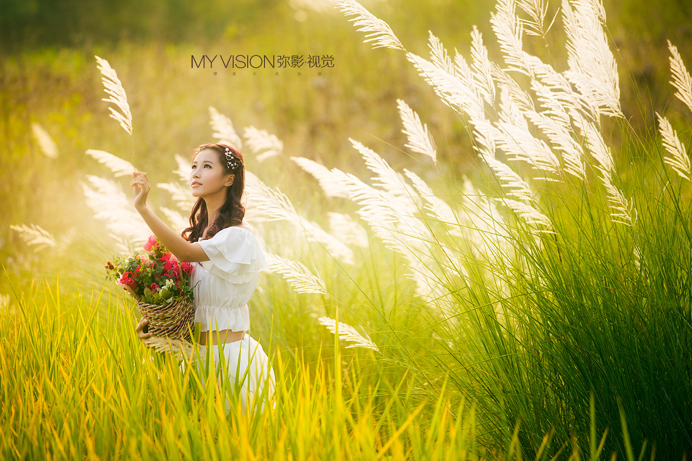 芦苇花开