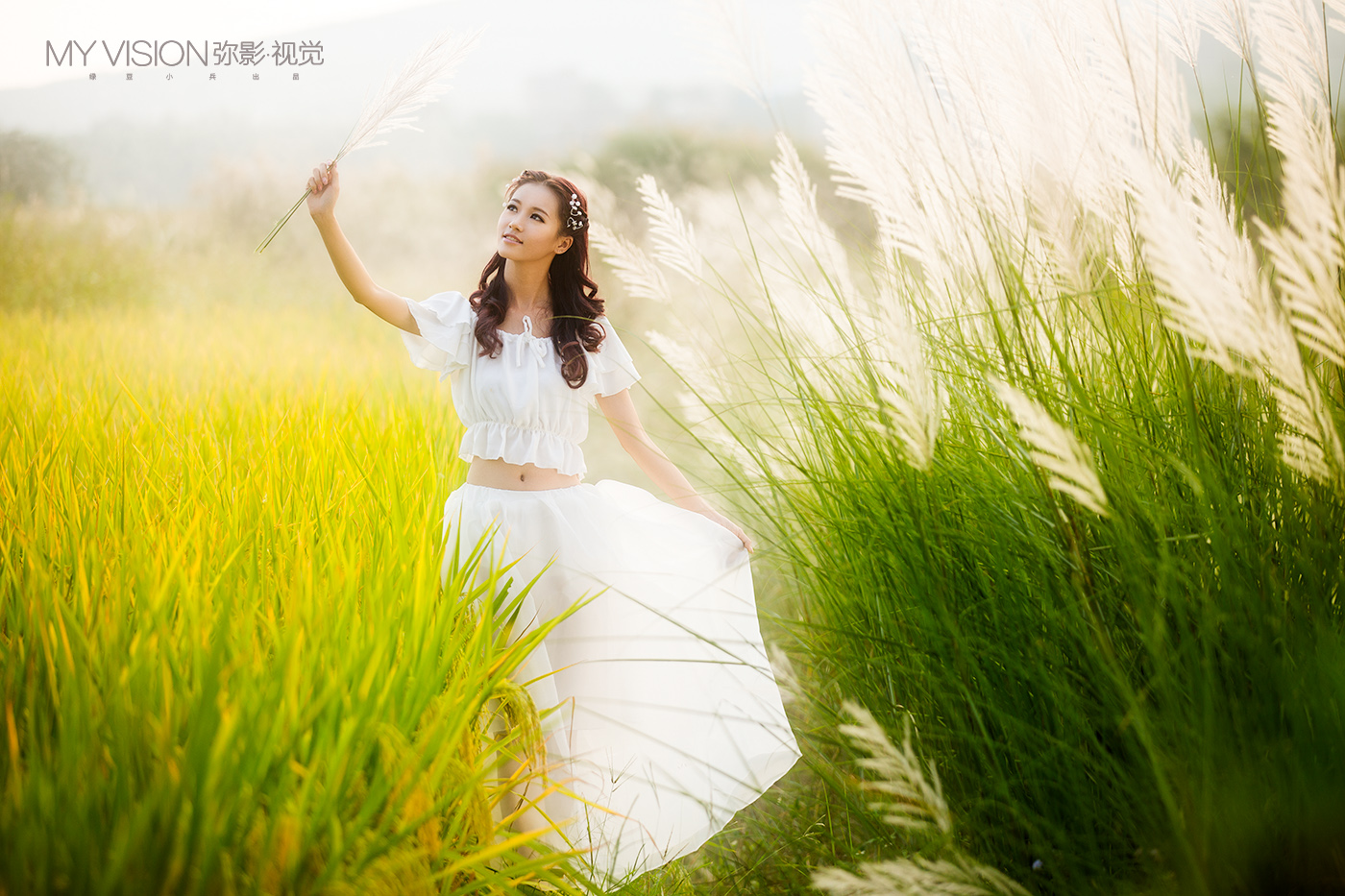 芦苇花开