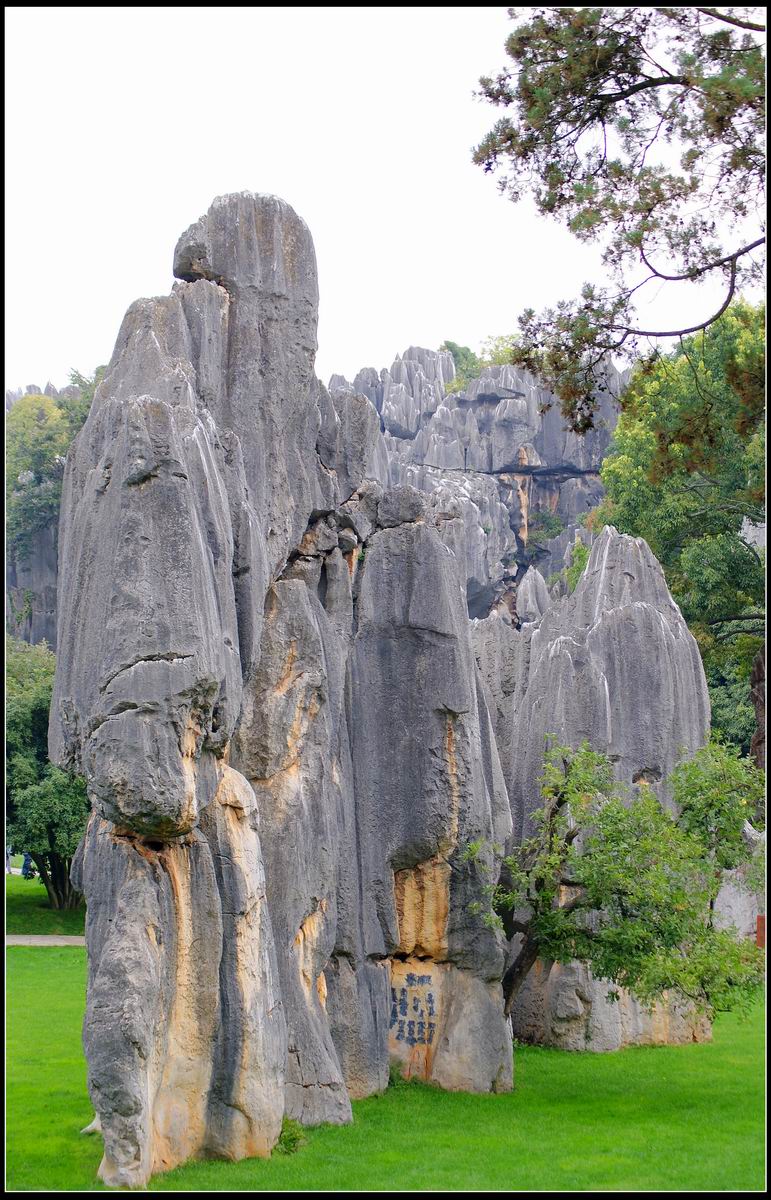 云南昆明石林风景