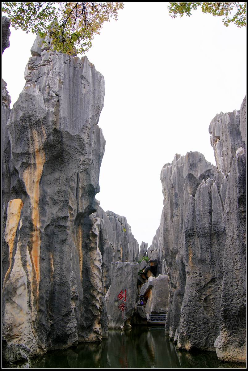 云南昆明石林风景