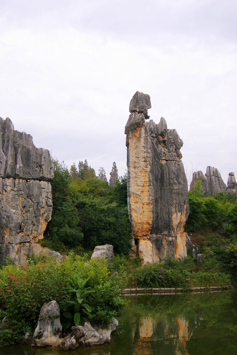 云南昆明石林风景