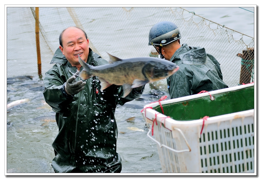 碧波湖浦鱼忙