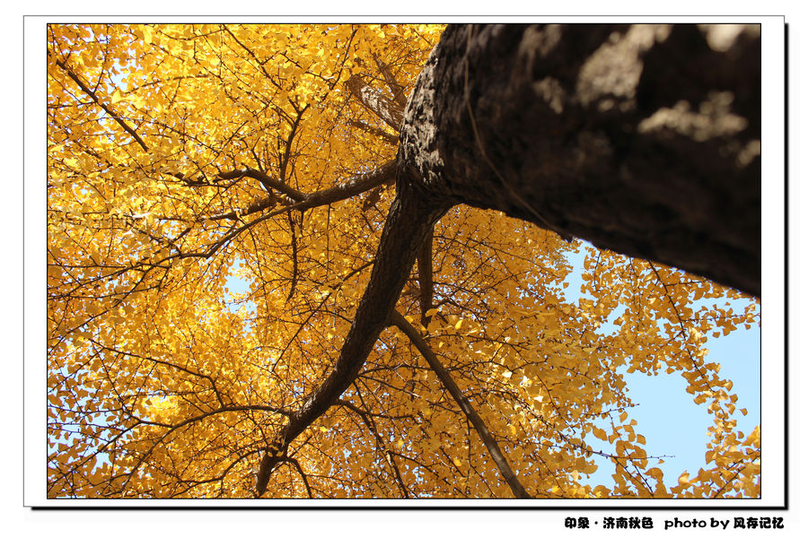 济南的秋天。
