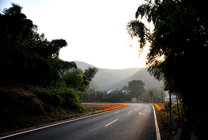 路边的风景