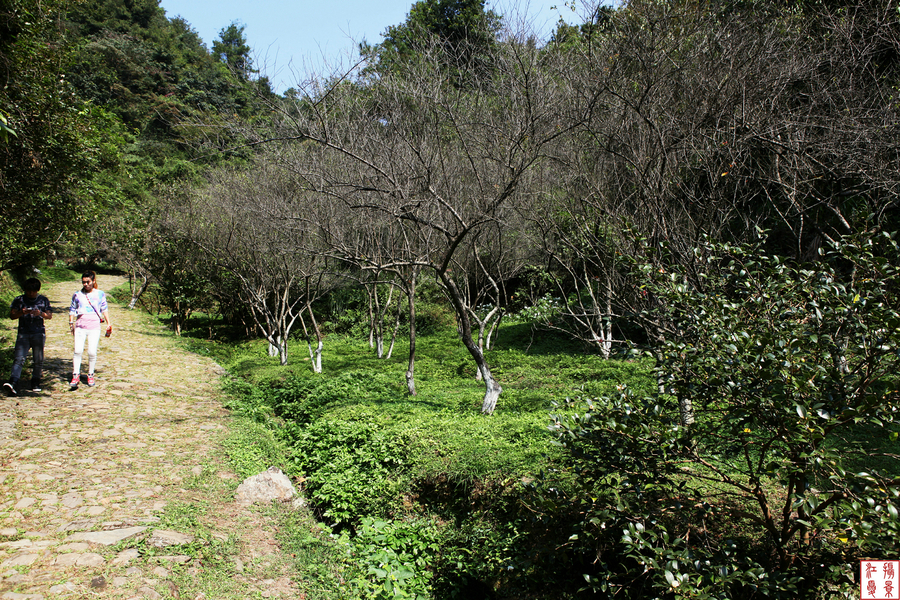 梅岭古道