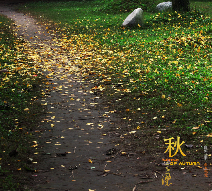 【【秋意浓】摄影图片】内江达州公园生活摄影