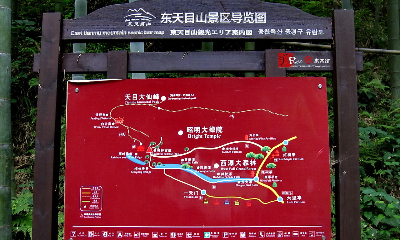 东天目山-dc游记