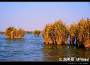 【沙湖美景摄影图片】银川沙湖风光旅游摄影_秋日怡情