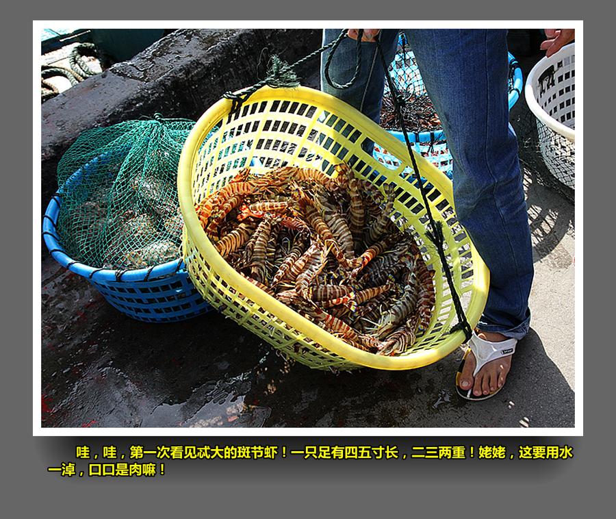 【靠海吃海摄影图片】鼓浪屿纪实摄影