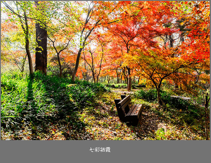 【七彩栖霞摄影图片】南京栖霞寺风光旅游摄影