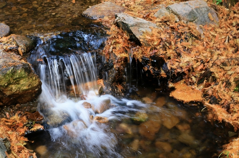 小溪流水