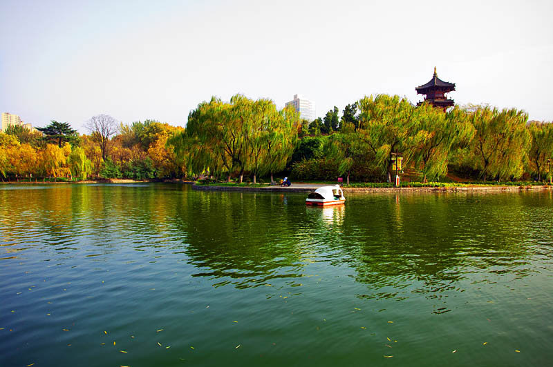 【《2013年11月 西安兴庆公园的秋景》摄影图