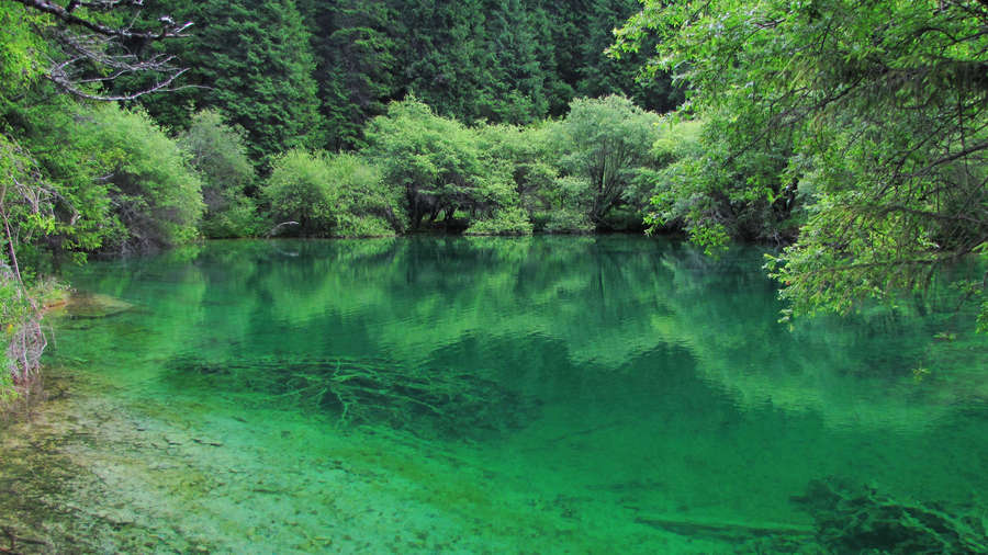 【川西行--牟尼沟风光摄影图片】四川松潘风光