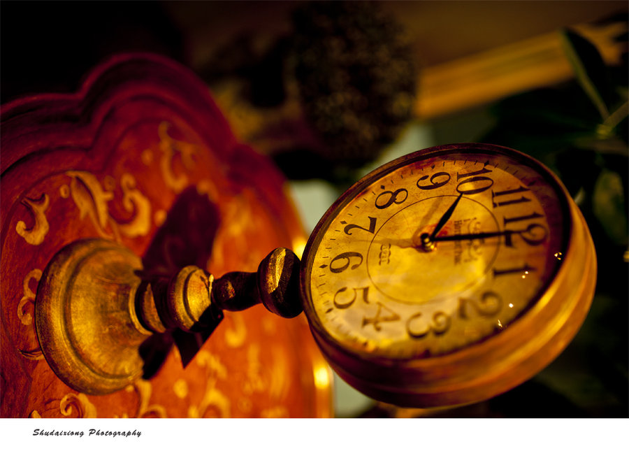 【贺岁 马到成功摄影图片】美居物流园纪实摄