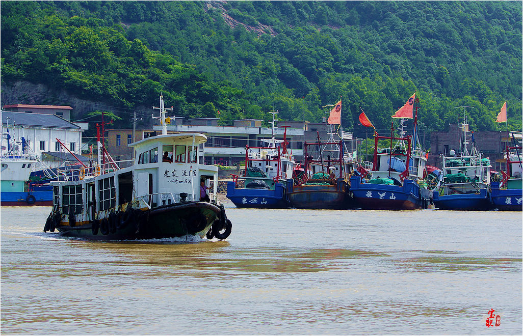 象山石浦鱼港游记