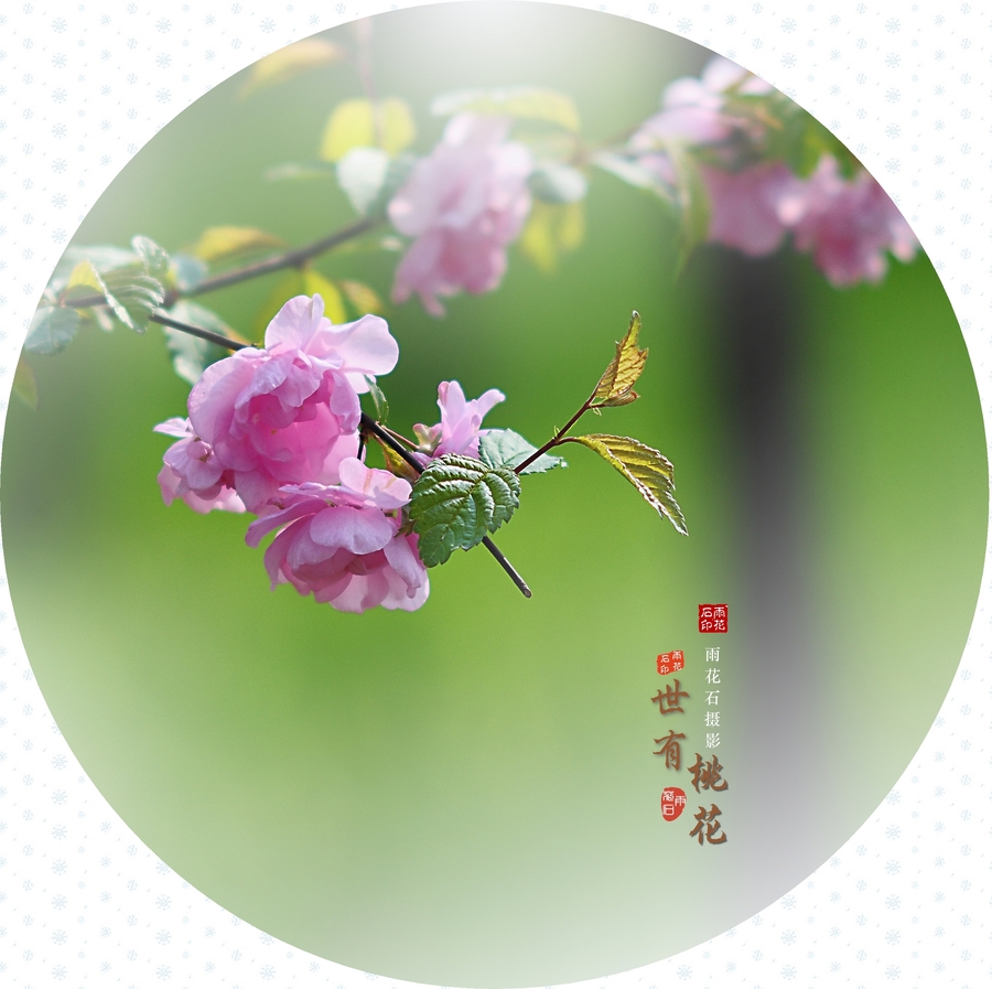 【世有桃花摄影图片】北京石景山雕塑公园生态