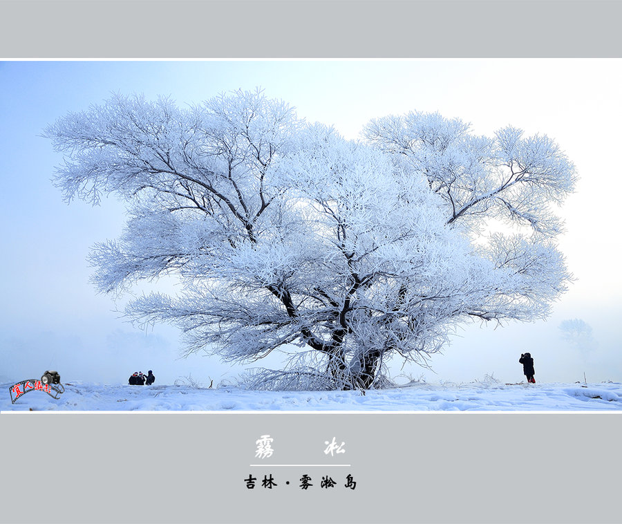 【雾凇-吉林雾凇岛之三摄影图片】吉林风光摄影_太平洋电脑网摄影