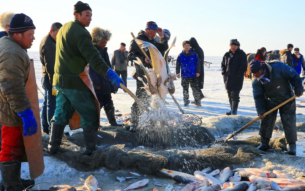 世界奇观——查干湖冬捕