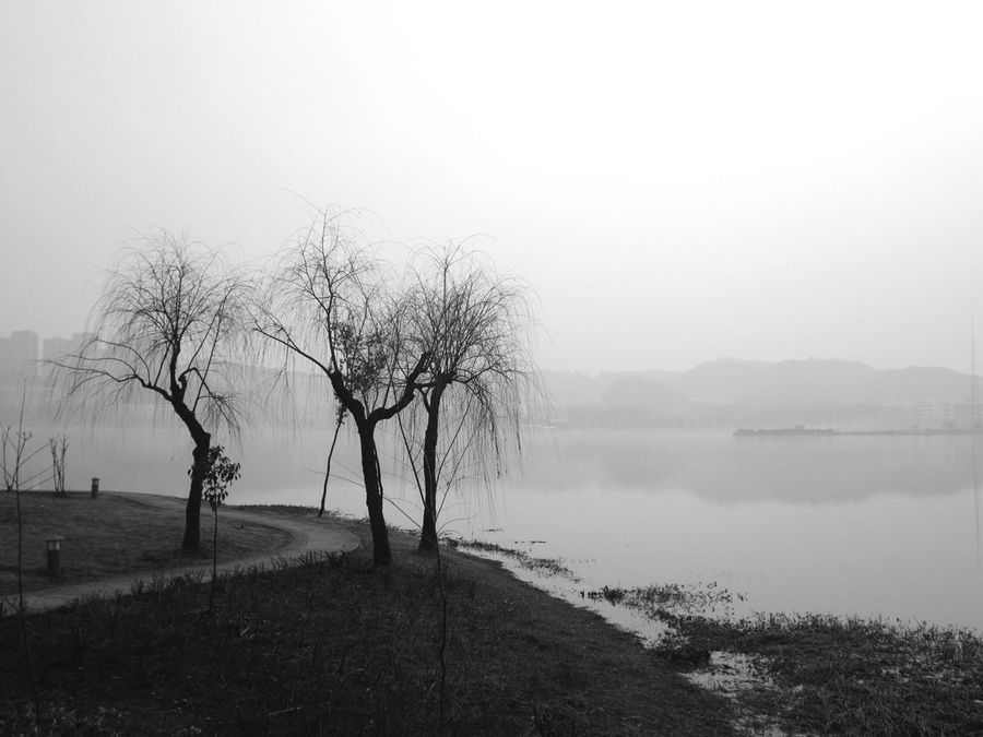 【磁湖楠竹林景区摄影图片】黄石磁湖风光摄影