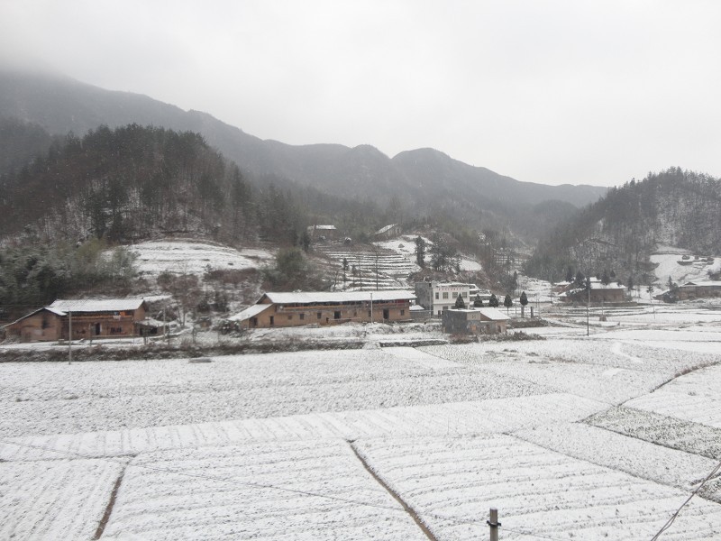 {家乡的雪景400字}.