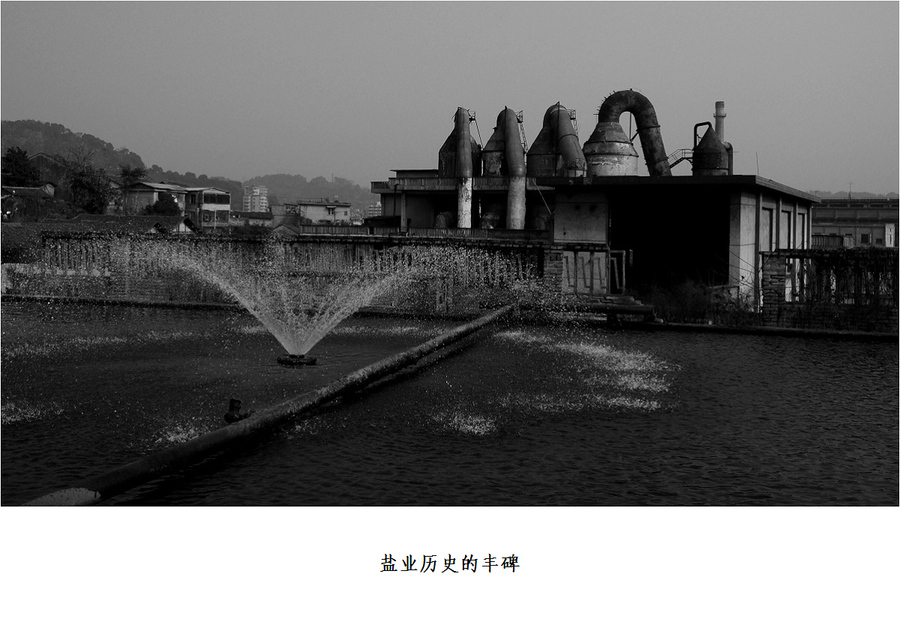 【城记(24)大安盐厂:最后的丰碑摄影图片】大安
