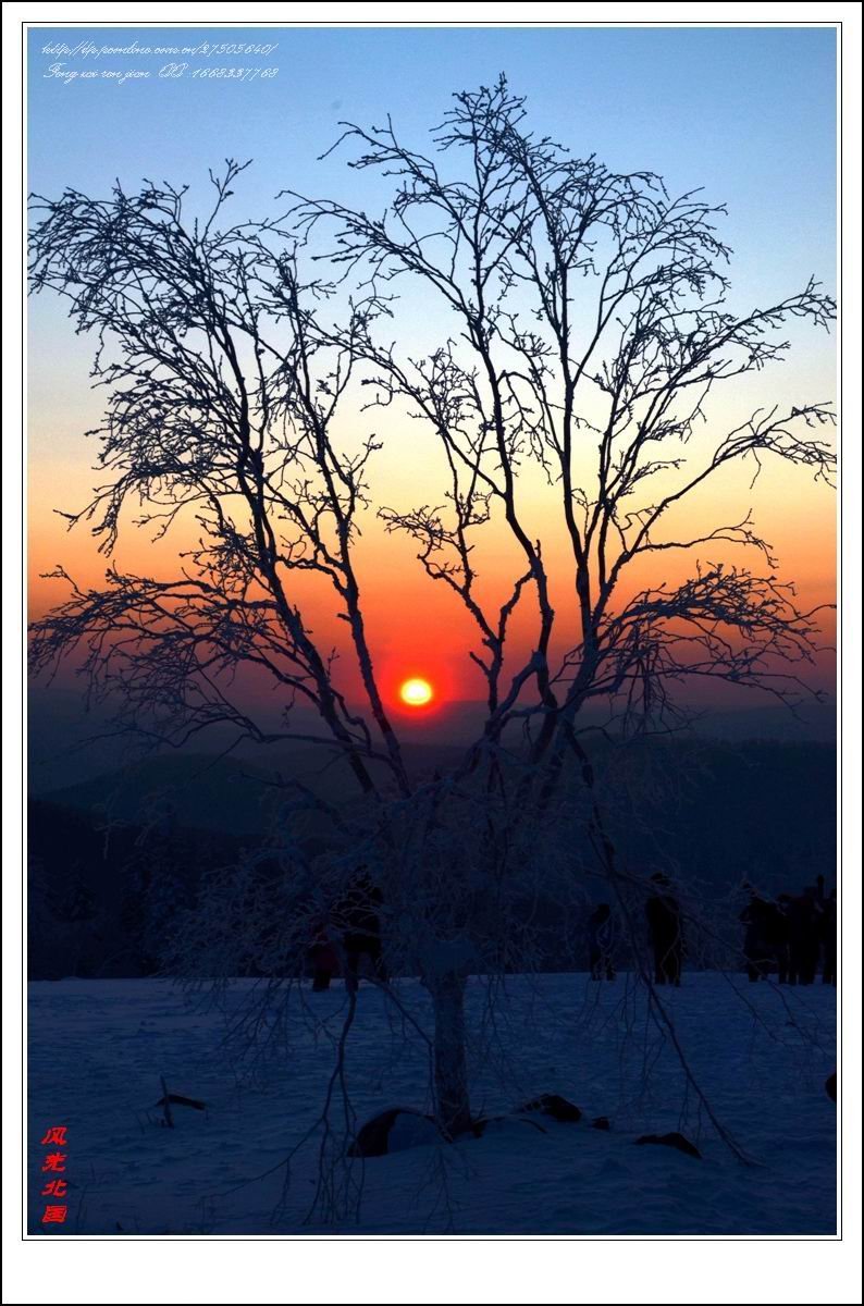 【清晨的第一缕阳光摄影图片】雪乡风光摄影_太平洋电脑网摄影部落