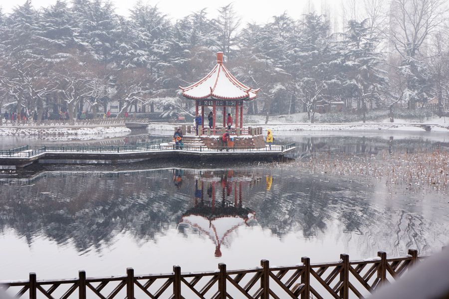 【瑞雪兆丰年---2014年春节青岛雪景掠影摄影