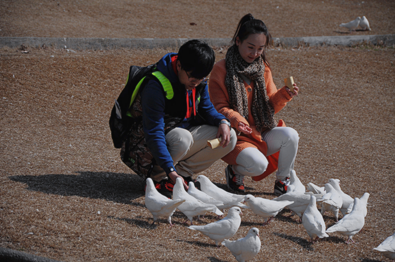 【美丽的中山陵-人与和平鸽摄影图片】南京中