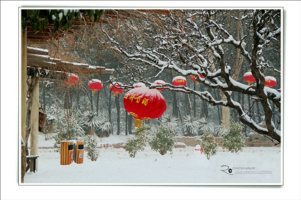 瑞雪兆丰年