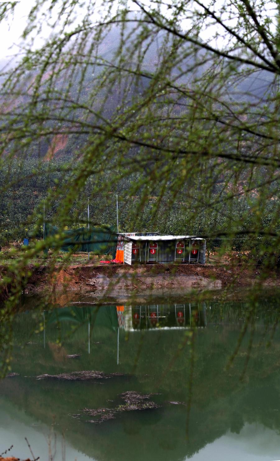 风雨送春归