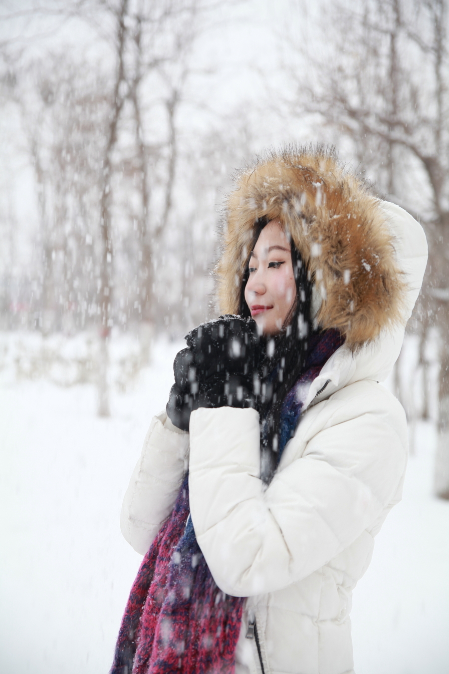 冬日恋歌之听雪