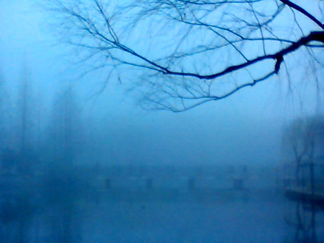 【雾霾天手机随拍摄影图片】上海 公园 街头纪