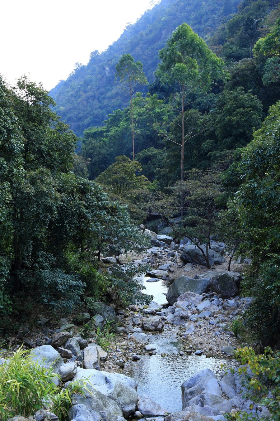 【清远游之太和古洞摄影图片】清远风光旅游摄