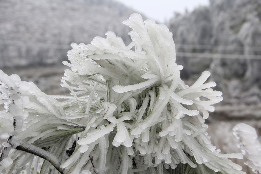 美丽的乌沙 漂亮的冰花