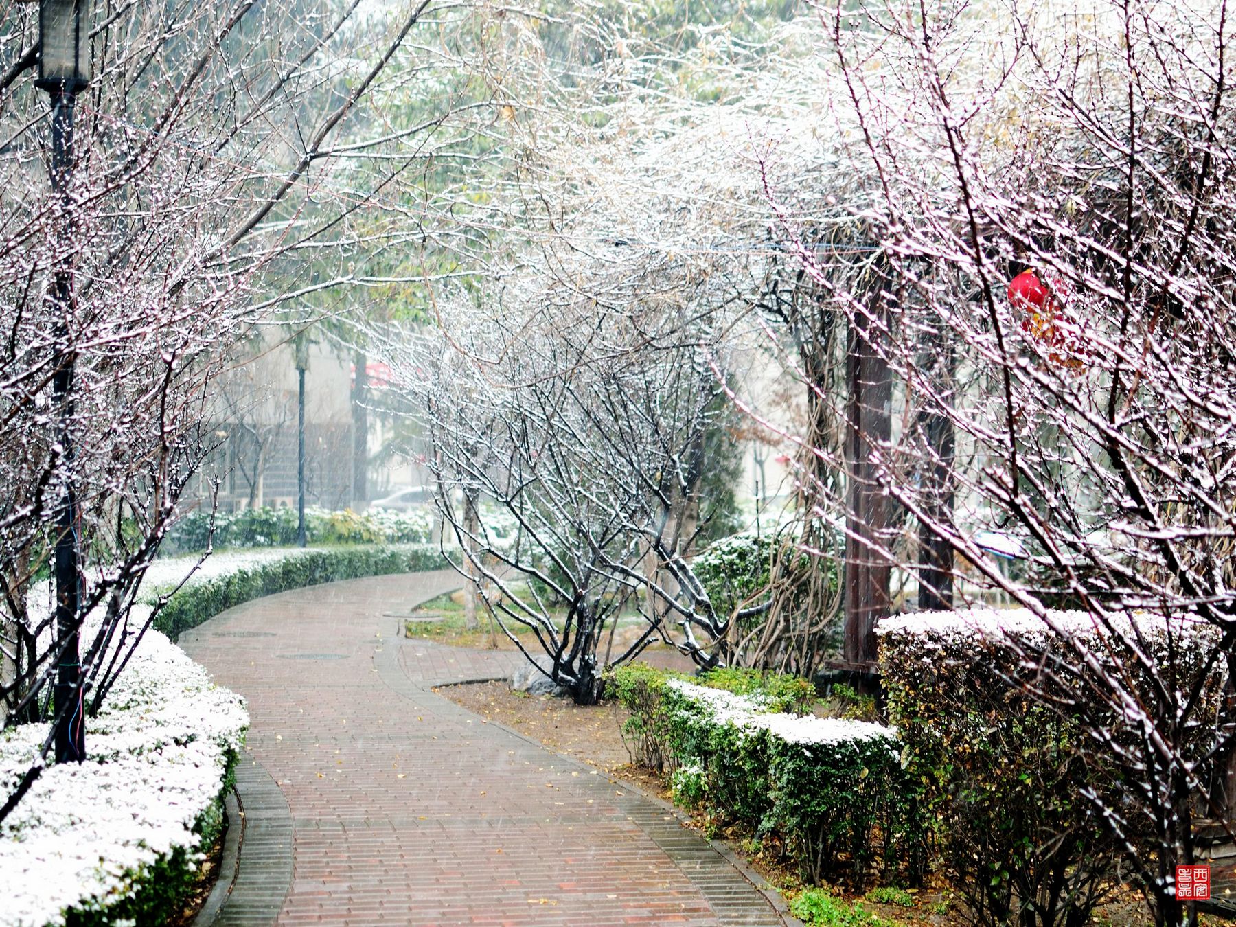 小区雪景