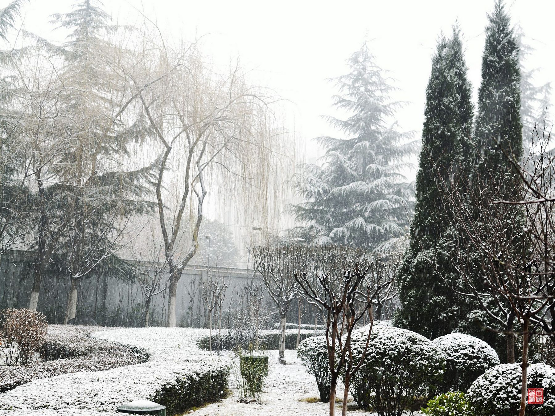 小区雪景